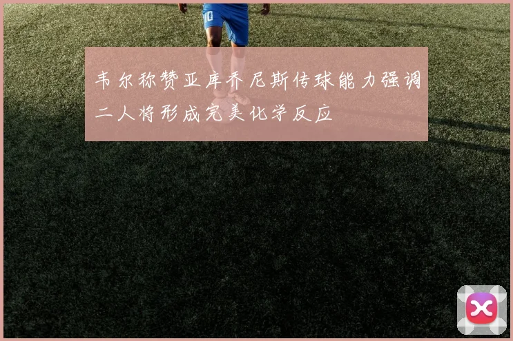 韦尔称赞亚库乔尼斯传球能力强调二人将形成完美化学反应