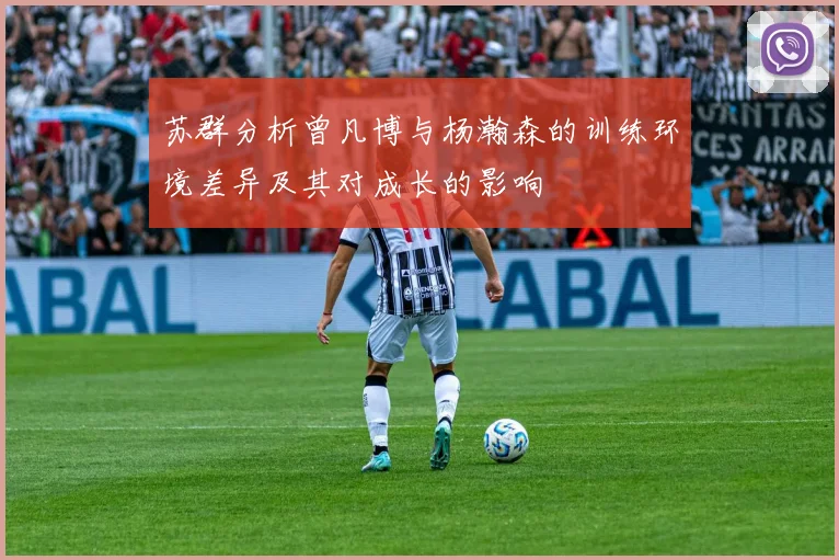苏群分析曾凡博与杨瀚森的训练环境差异及其对成长的影响