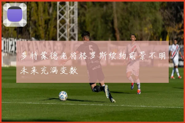 多特蒙德老将格罗斯续约前景不明未来充满变数