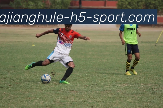 麻将胡了平台生态图